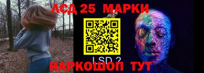 Альфа ПВП Будённовск