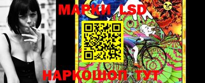 Альфа ПВП Будённовск