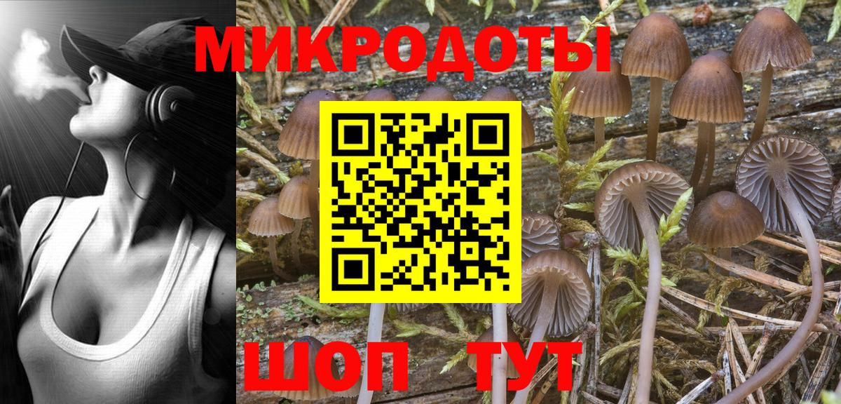 Галлюциногенные грибы Psilocybine cubensis  Вход с VPN  Псилоцибиновые грибы Psilocybine cubensis  Петропавловск-Камчатский 