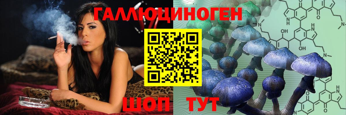 Псилоцибиновые грибы Magic Shrooms Петропавловск-Камчатский